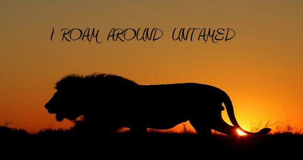 I Roam Around Untamed