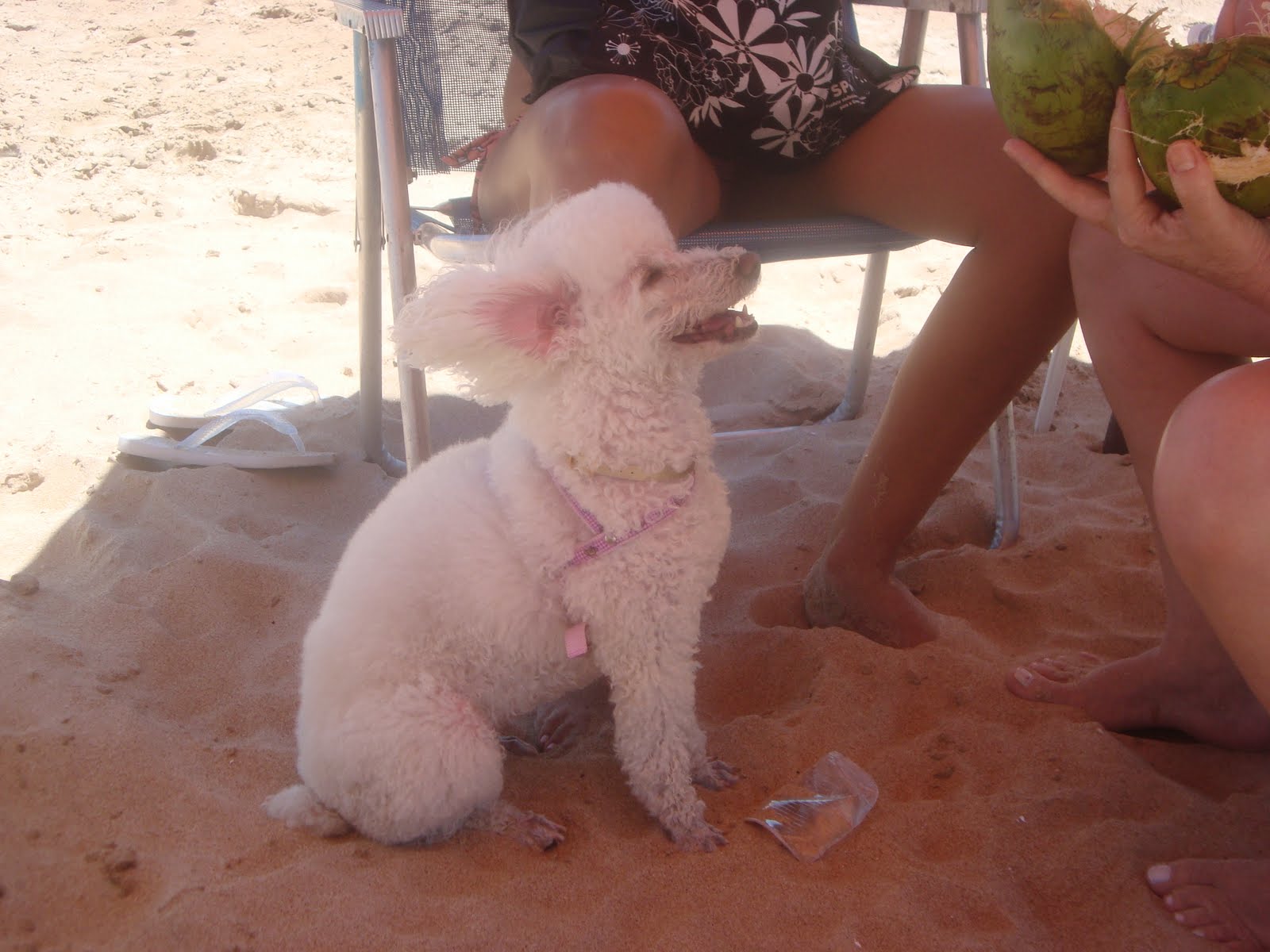 [DSC00418.JPG]