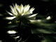 Fotografia mea
