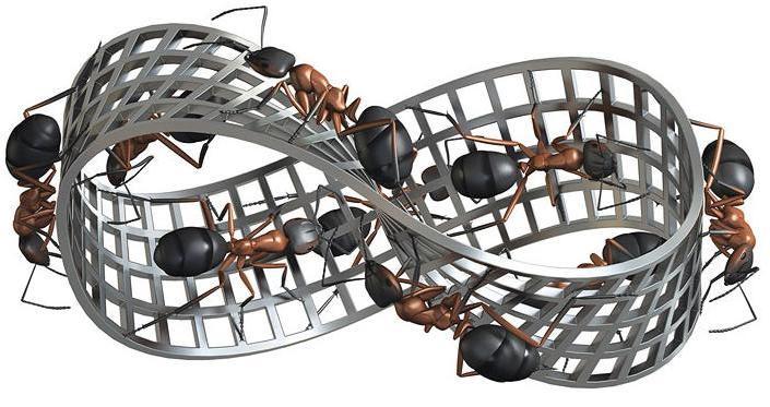 Escher Ants