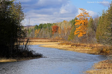 Peace Like A River