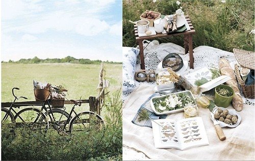 [picnic.jpg]