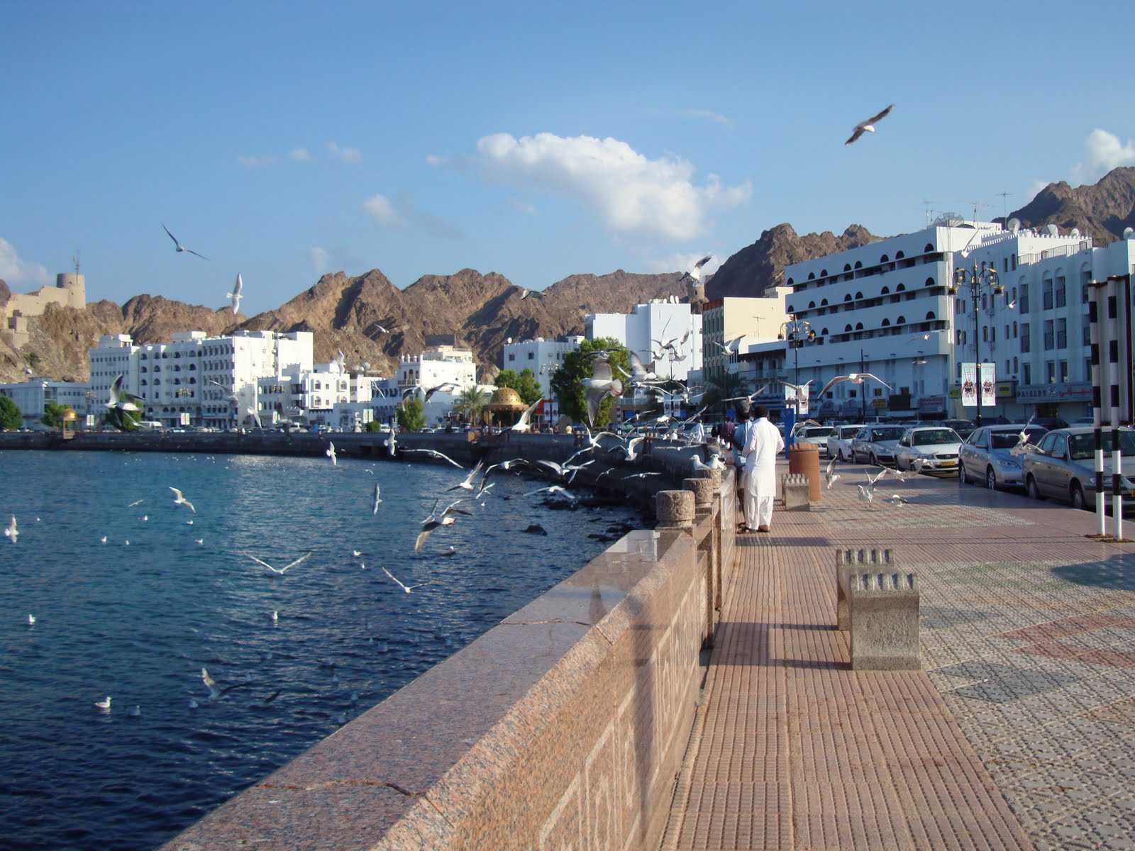 Old Muscat