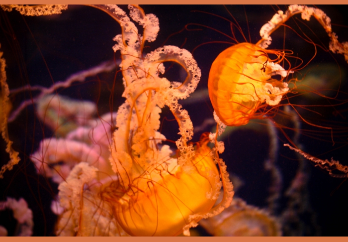 [Screen+shot+2009-09-03+at+7.31.00+PM.png]