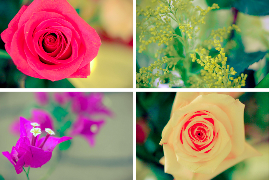 [Screen+shot+2009-10-25+at+1.07.47+AM.png]