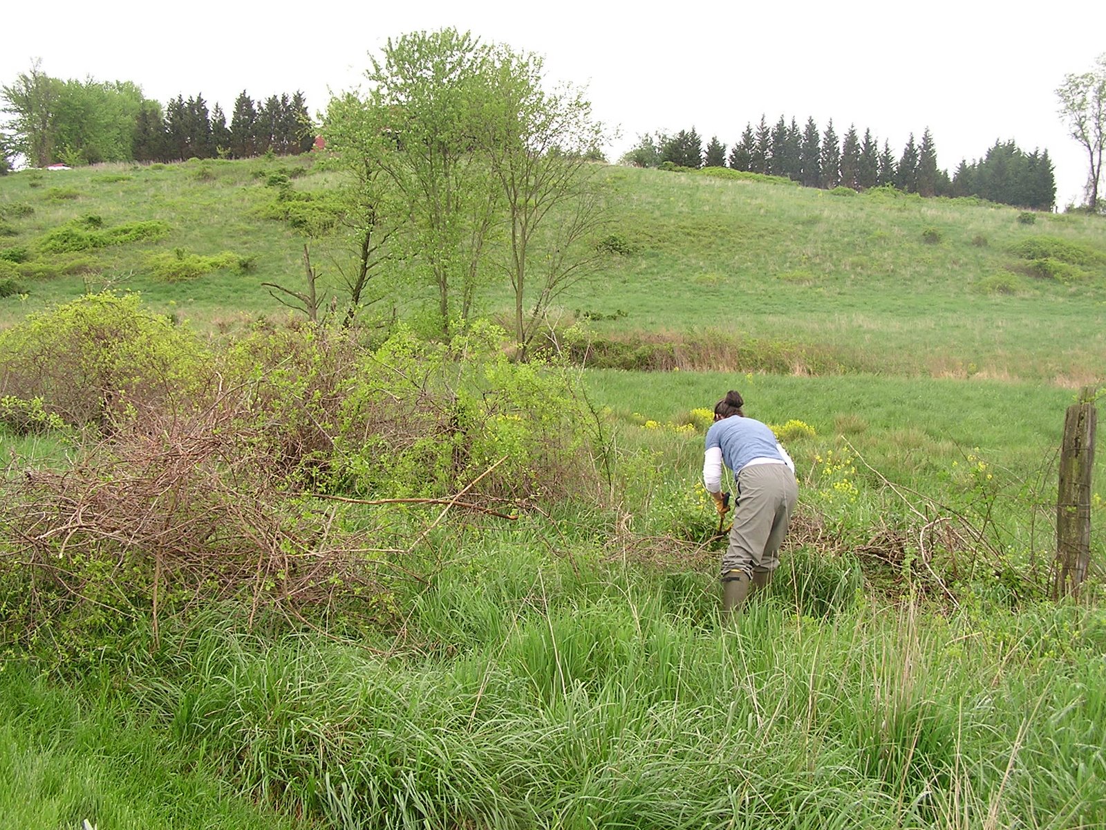 [April+2009+008.jpg]