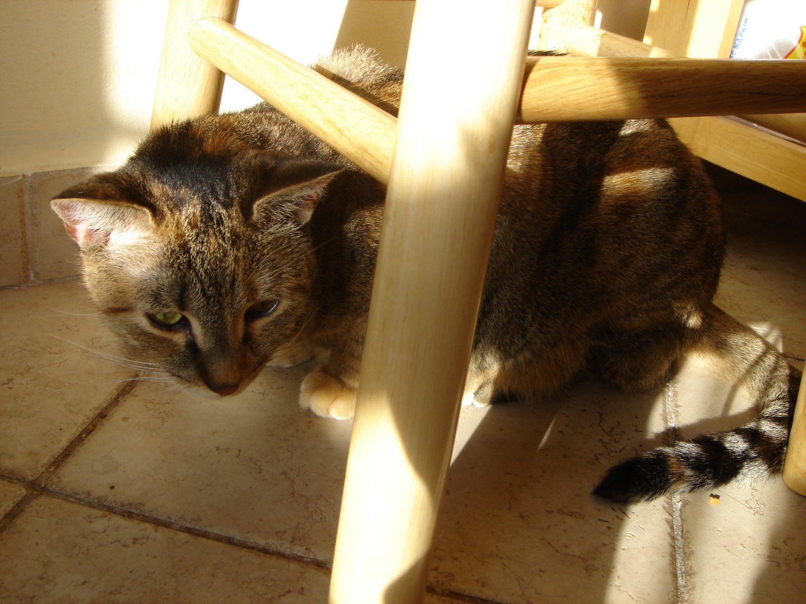 [DSC01131.JPG]