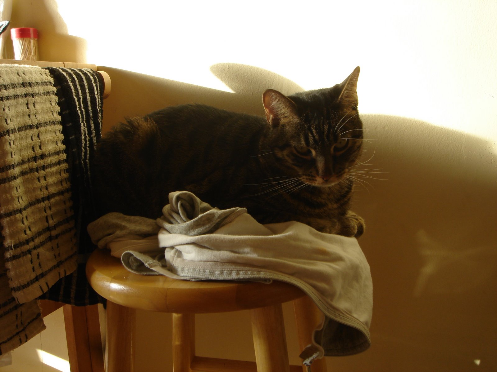 [DSC01157.JPG]