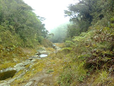 Telaga Bidadari yang kering kerontang