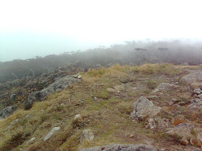 Masih pemandangan dari puncak II, Pos 10