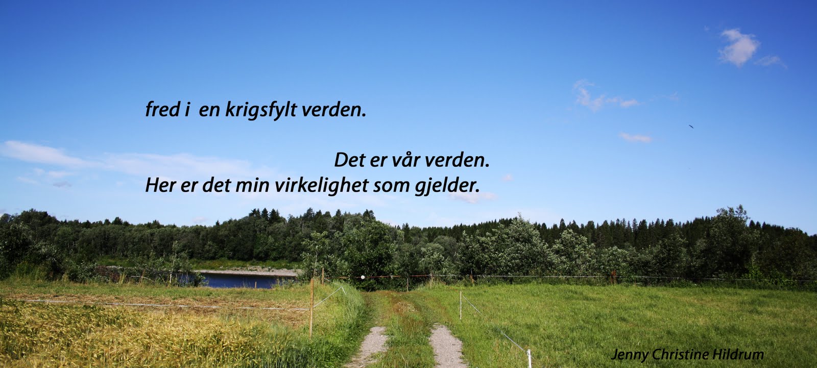 Fred i en krigsfylt verden.