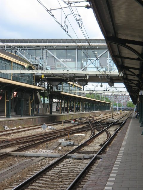 [IMG_2946.JPG]