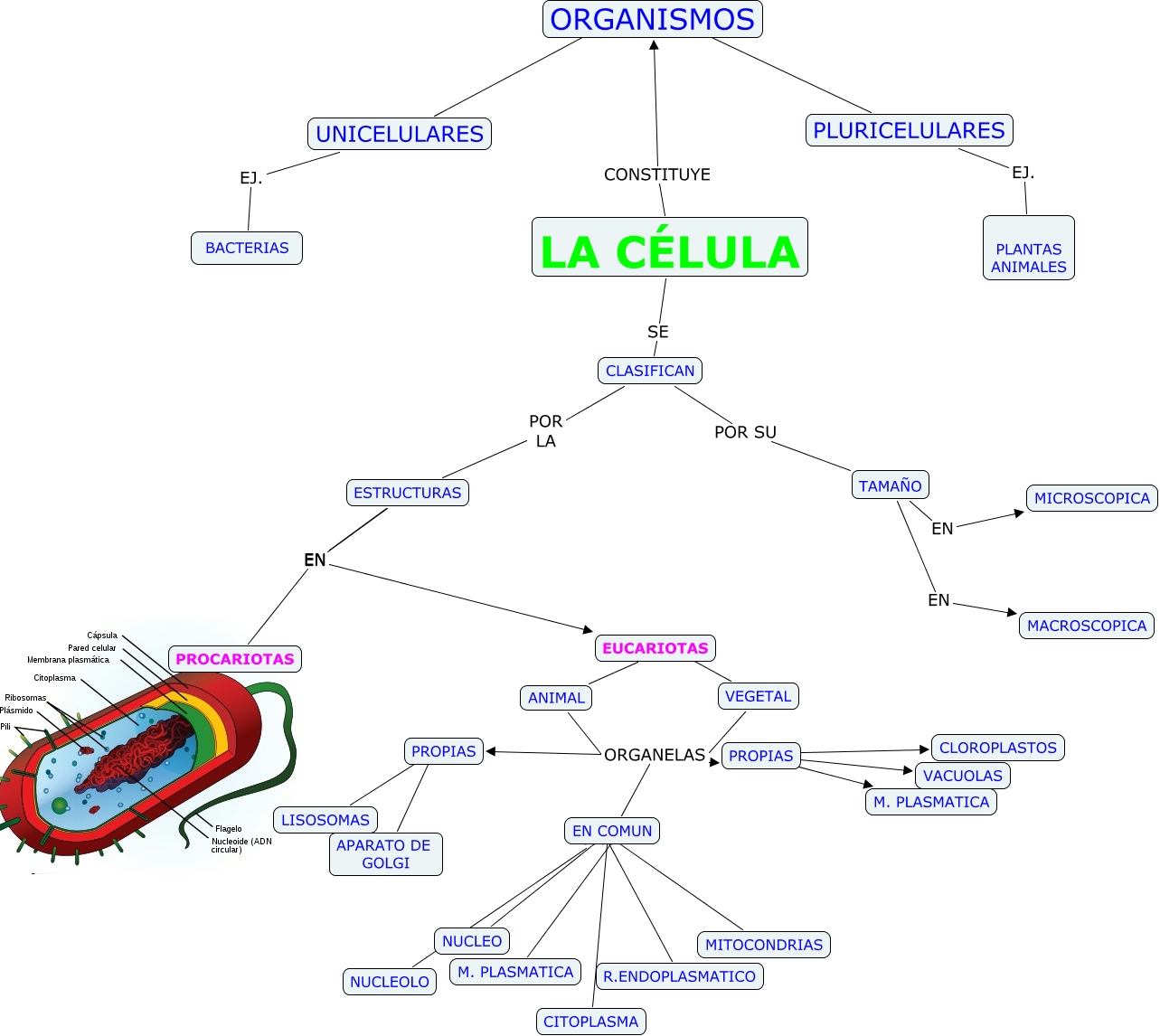 Incluyendo las TICs en el aula: Mapas conceptuales