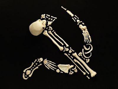 Art of bones