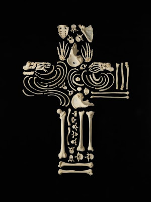 Art of bones