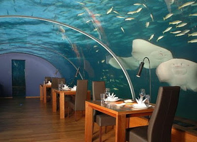 5 Incredible Underwater Habitats