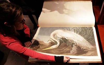 expensive book