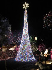 Family Christmas Lights