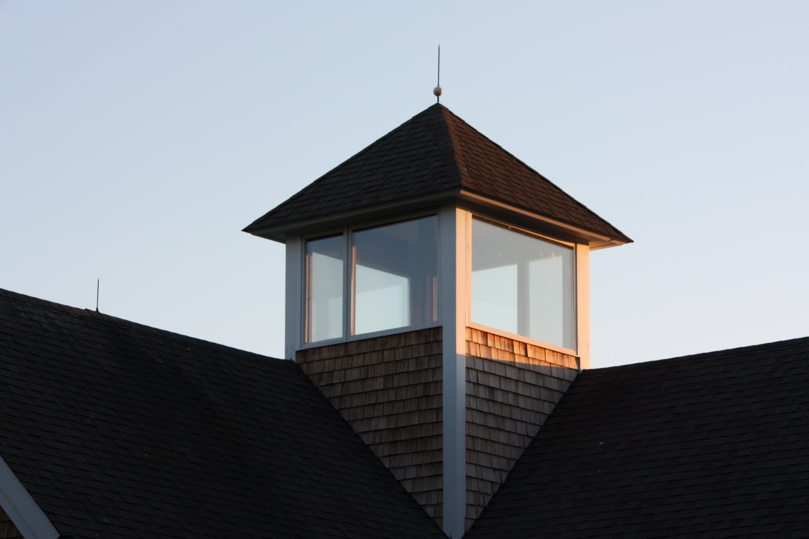 Cupola Anatomy