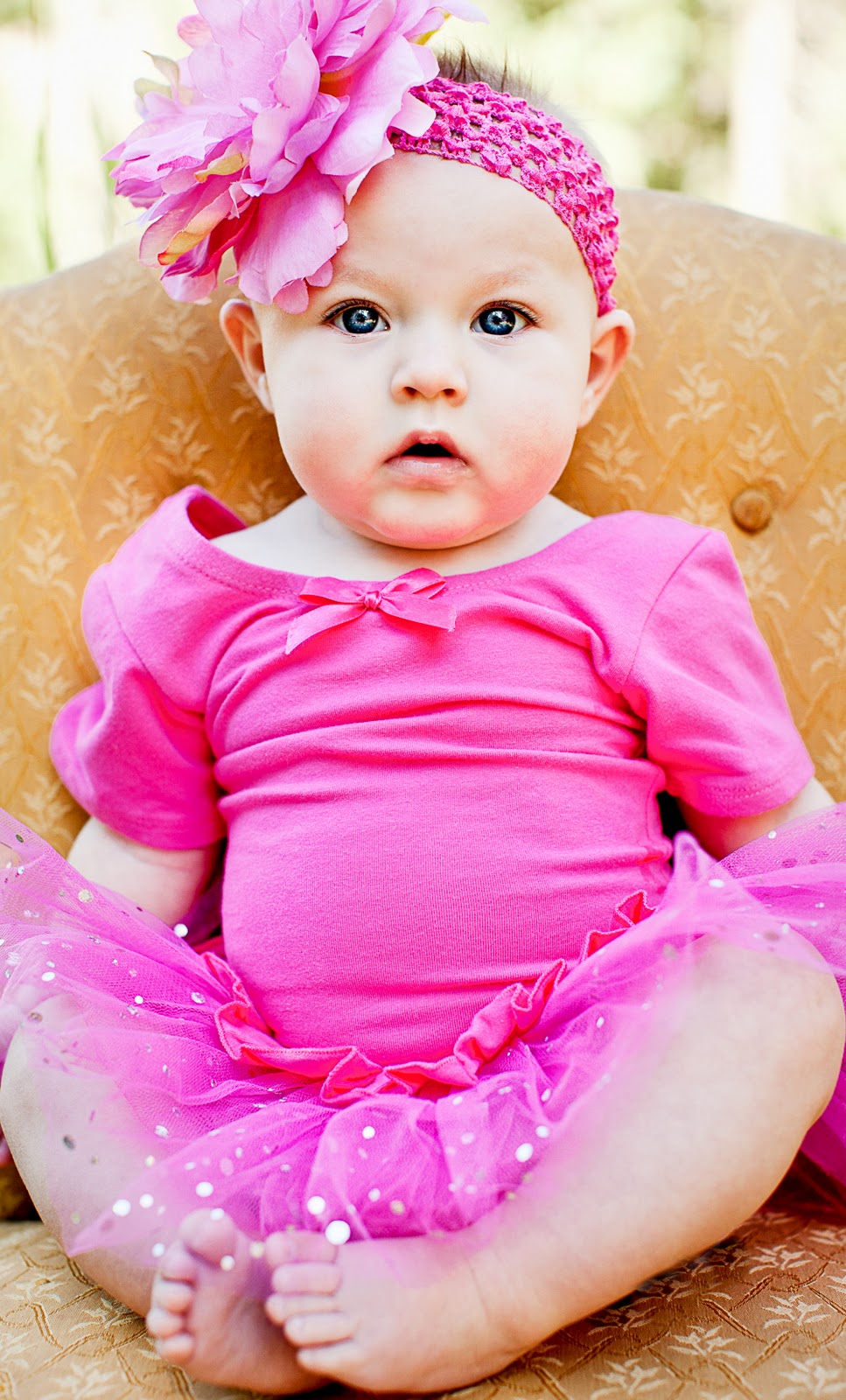 Organized Chaos Baby Fix