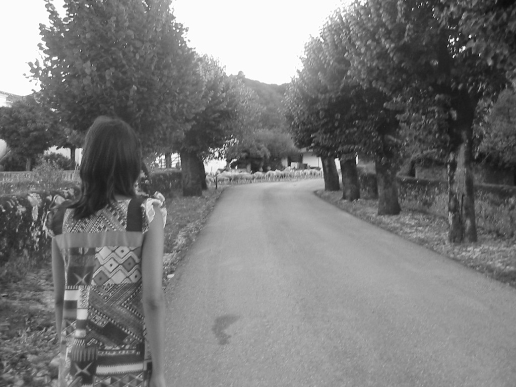 [IMG_0989.JPG]