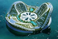 http://4.bp.blogspot.com/_B_s3SJBAGkw/Sm4jsBY_T3I/AAAAAAAADqk/xUjxywtSOyA/s400/lilypad_250x0.jpg