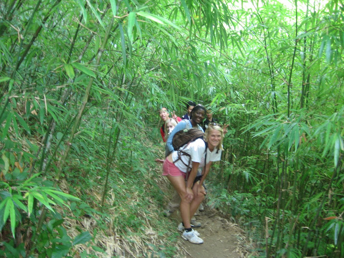 Bamboo Jungle