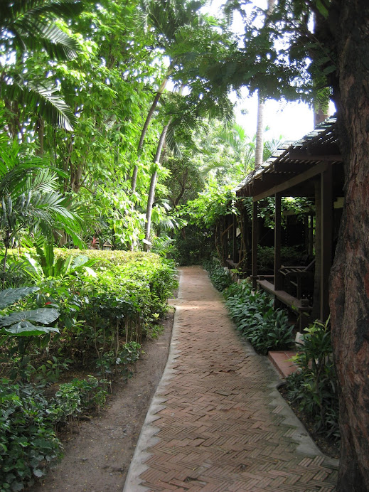 The path to the beach from our hotel