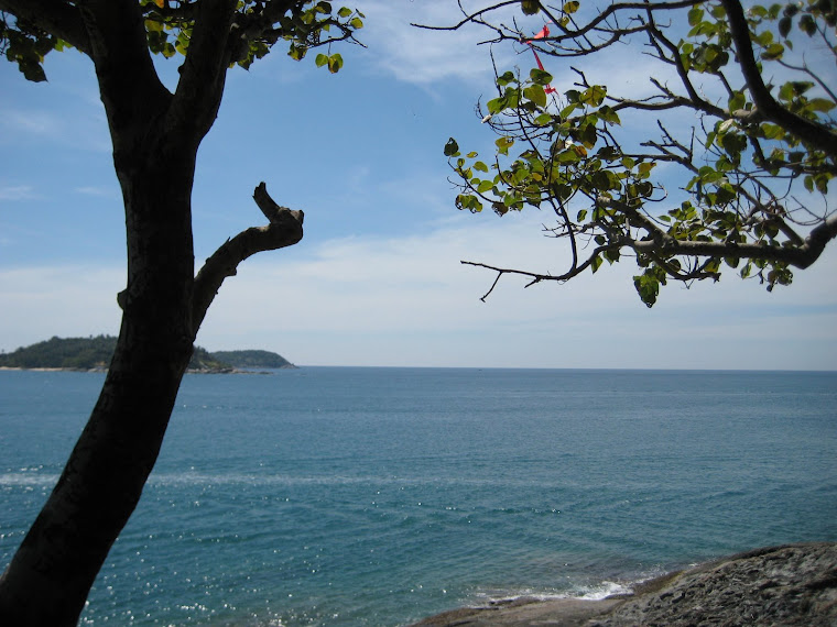 Sitting under a tree listening to the ocean