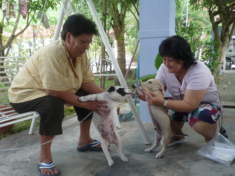 [mini-Jakcy+and+Bobby.JPG]