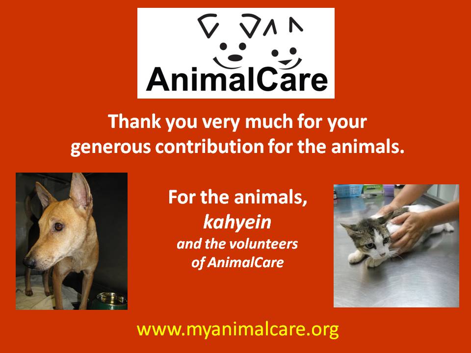 [Animalcare+TQ+Jan+2010.jpg]