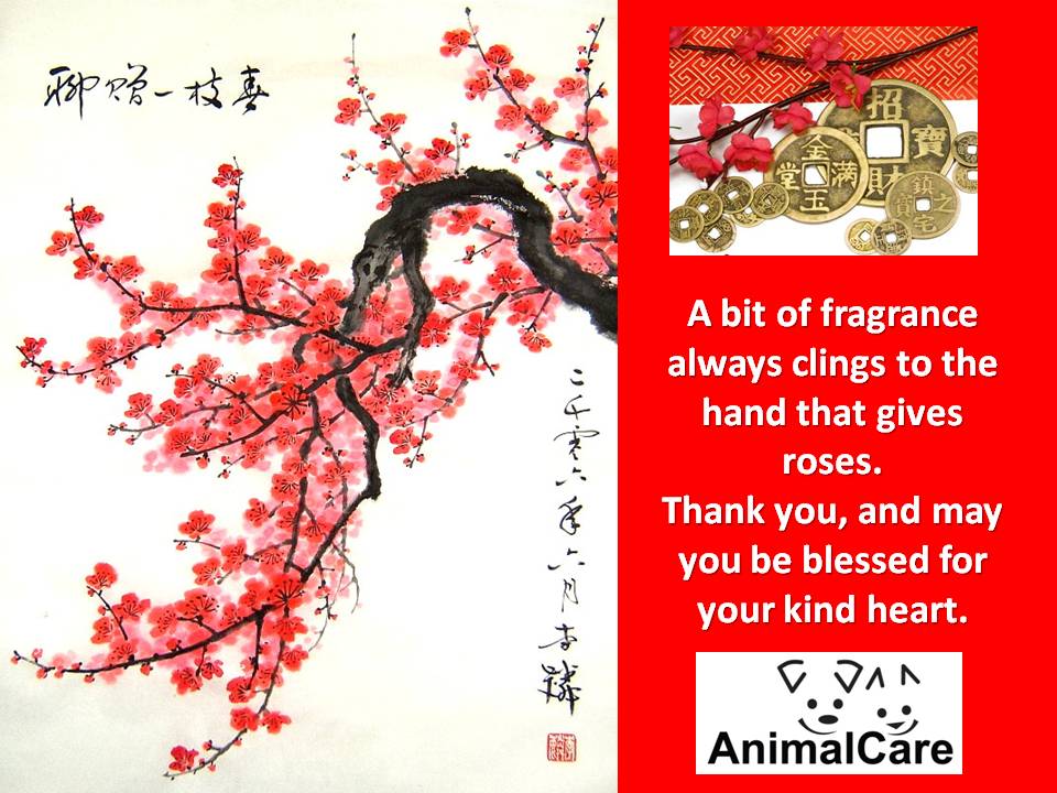 [thank+you+cny.jpg]