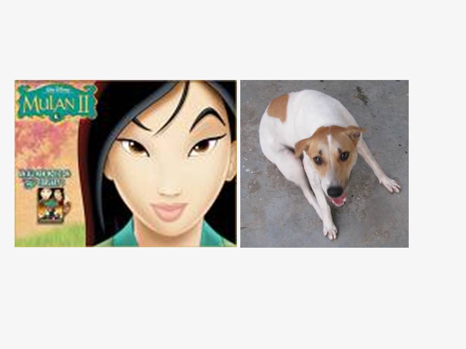 [Mulan.jpg]