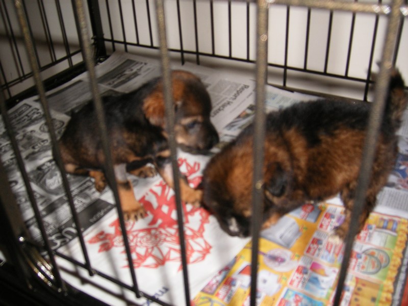 [mini-Ebony+&+Julea+REUNITED+2!.JPG]
