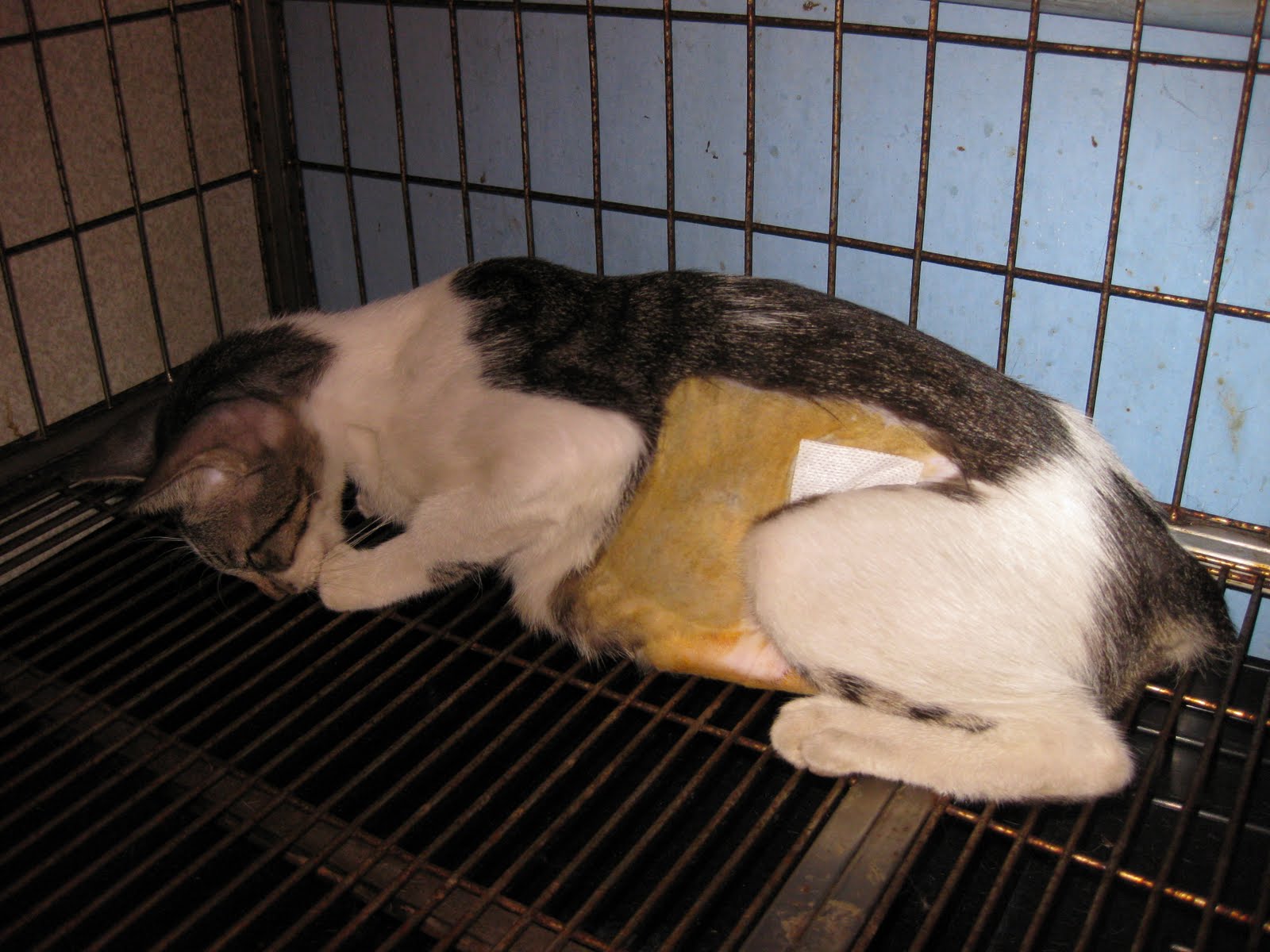 [IMG_0271[2]]
