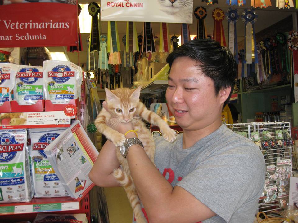 [sean+ginger+cat.jpg]