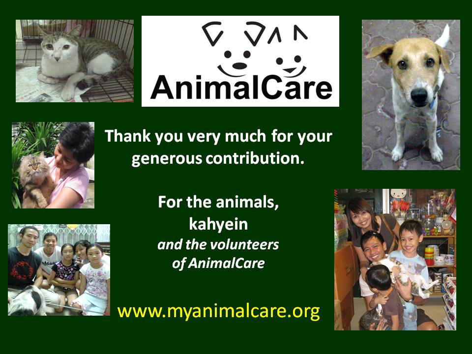 [AnimalCare+TQ(4).jpg]