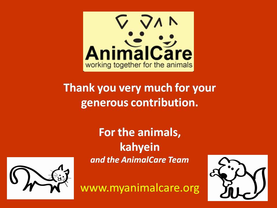 [AnimalCare+TQ+ORANGE.jpg]