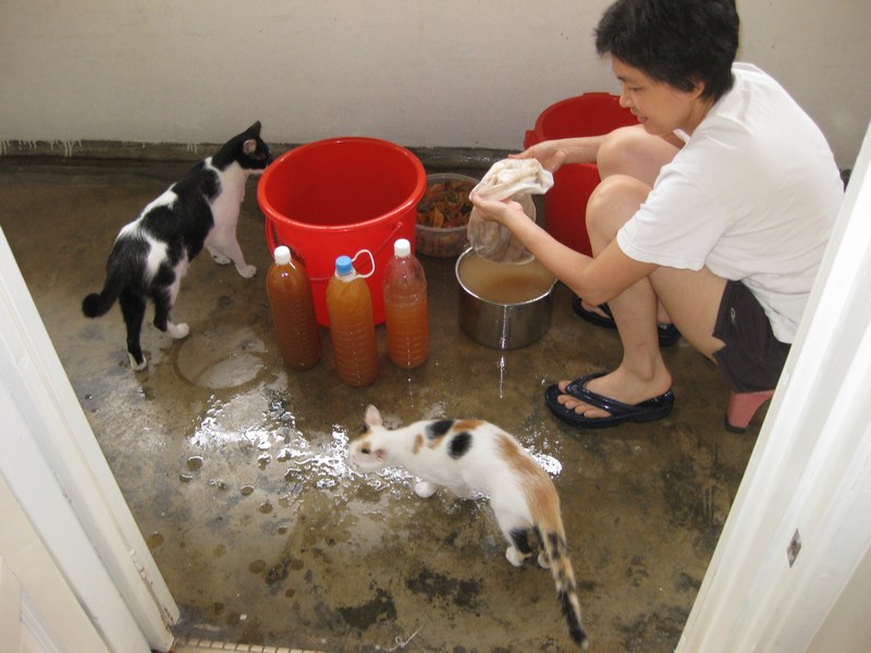 [mini-IMG_2275.JPG]