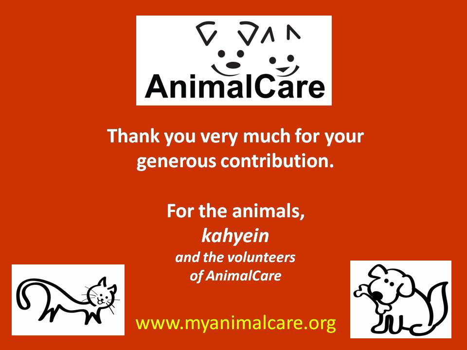 [AnimalCare+TQ+general.jpg]
