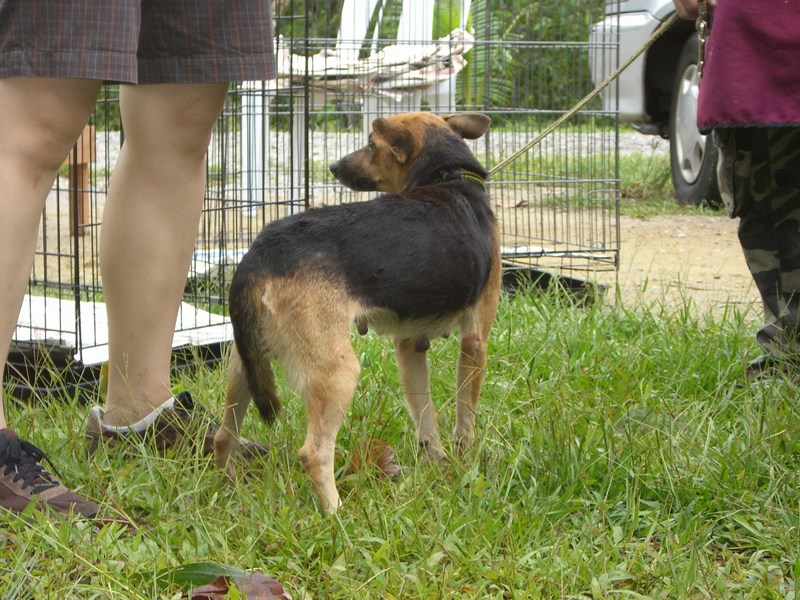 [mini-CIMG0854.JPG]