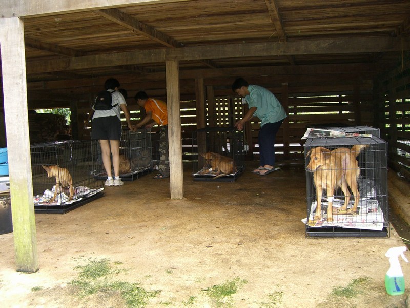 [mini-CIMG0866.JPG]