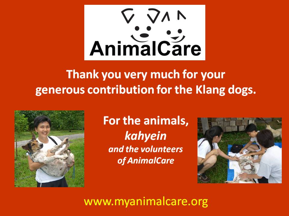 [AnimalCare+TQ+Klang+2.jpg]