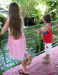 Kids feeding the fish at the butterfly garden