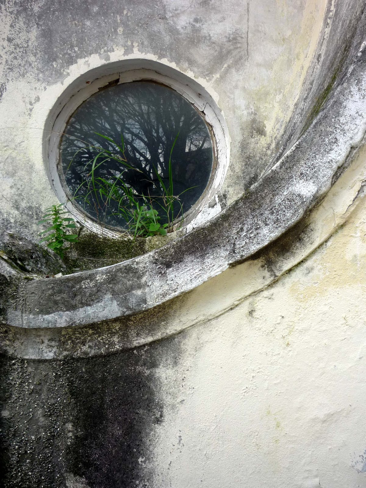[76+P1360260.JPG]