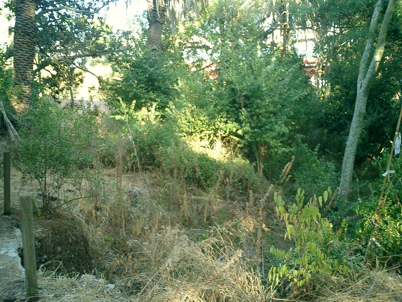 [CIMG0242.JPG]