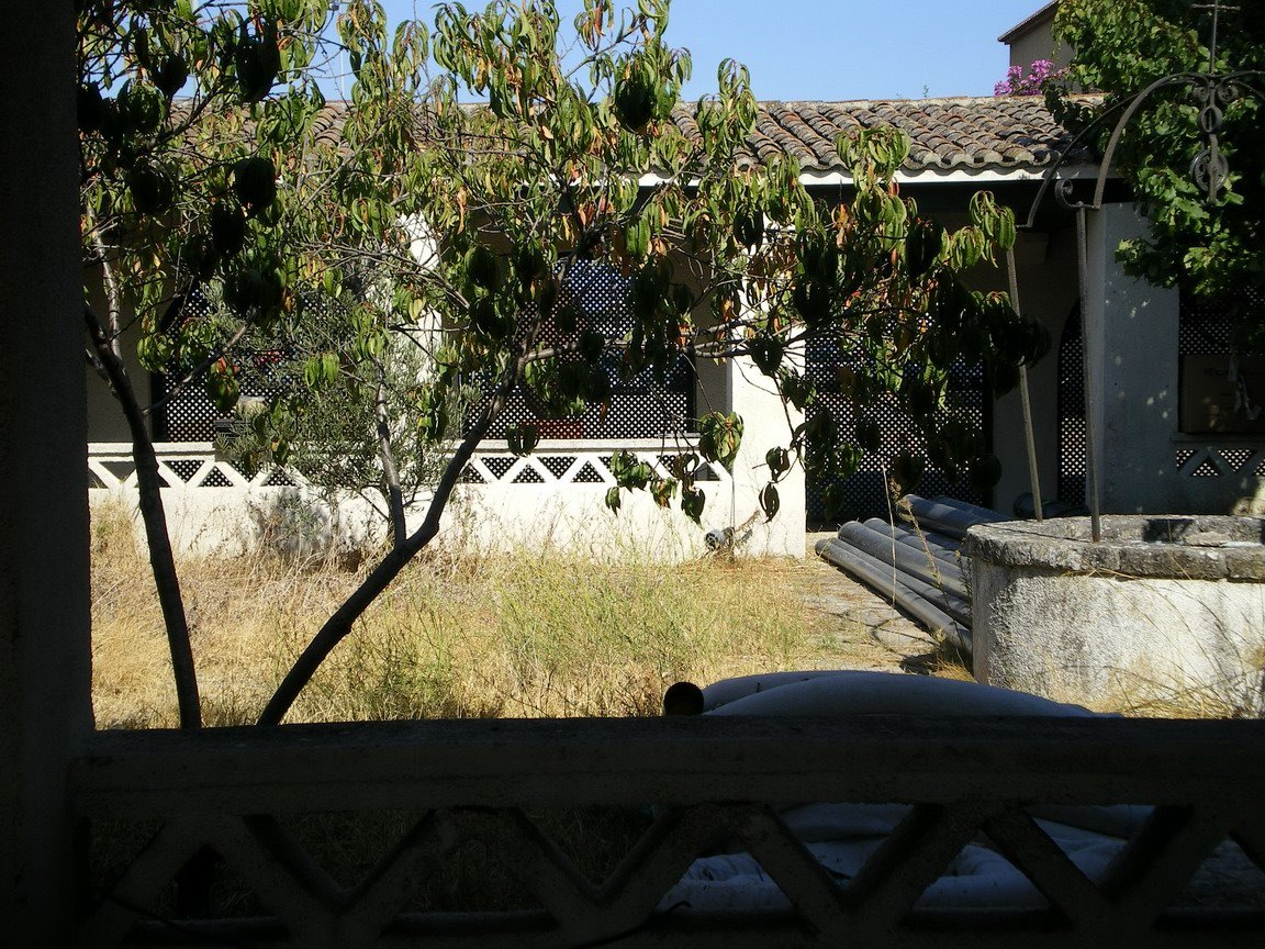 [IMGP3579_resize.JPG]