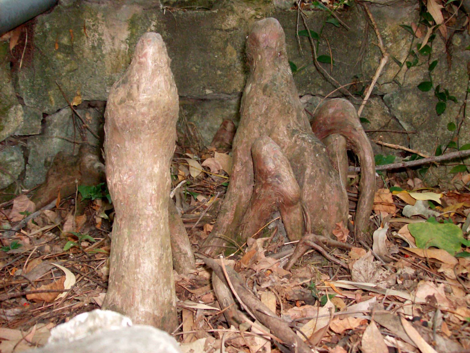 [HPIM0676.jpg]