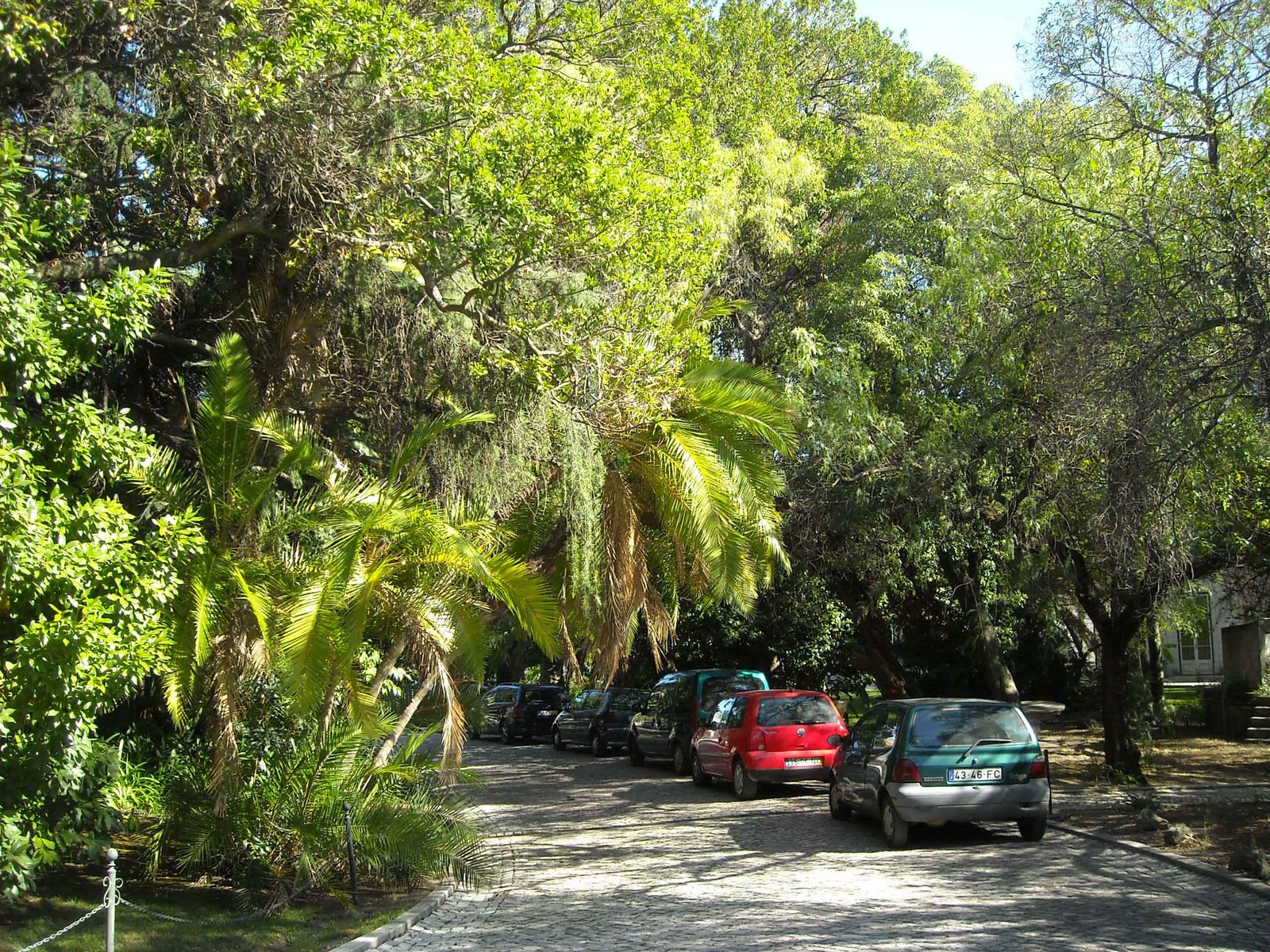 [102++burney+271.jpg]