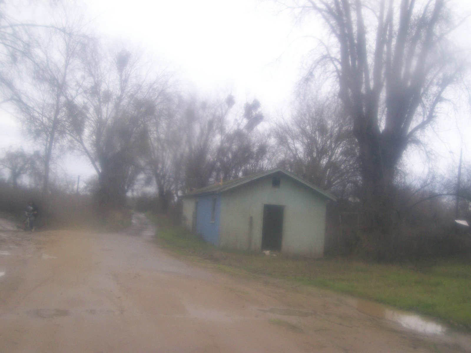 [121_0004.JPG]